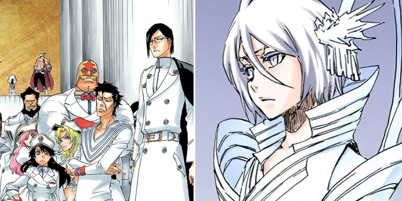 Do you think Bleach went downhill after the saving Rukia arc? - Quora