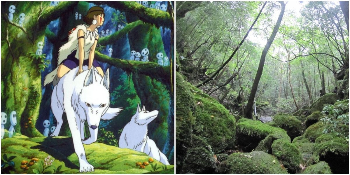 San From Princess Mononoke With Wolves And Yakushima Island