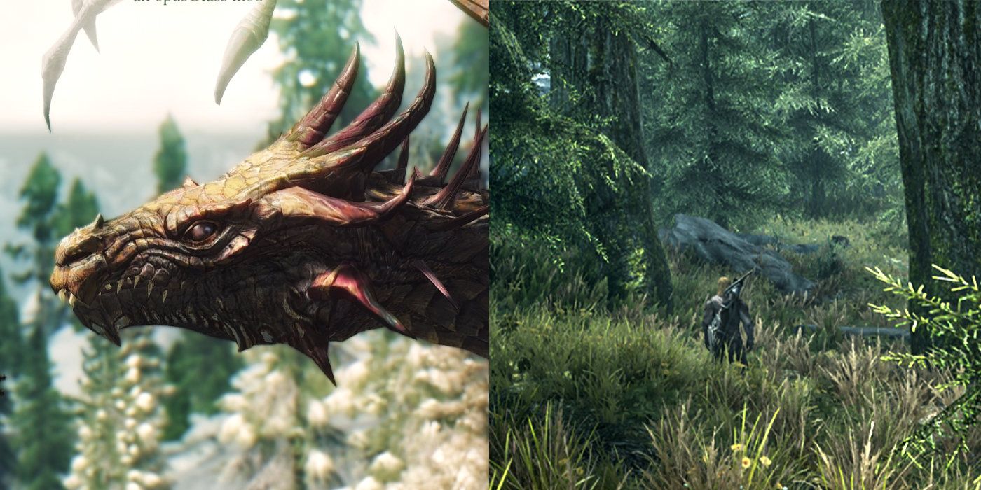 skyrim dragon race mods