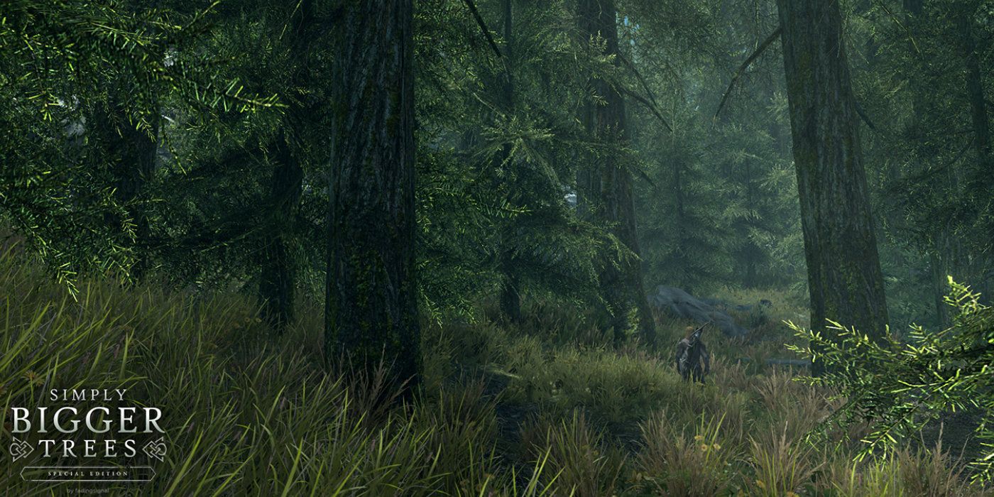 Simply Bigger Trees does exactly what it says - drastically enhancing Skyrim's tree sizes for more immersion