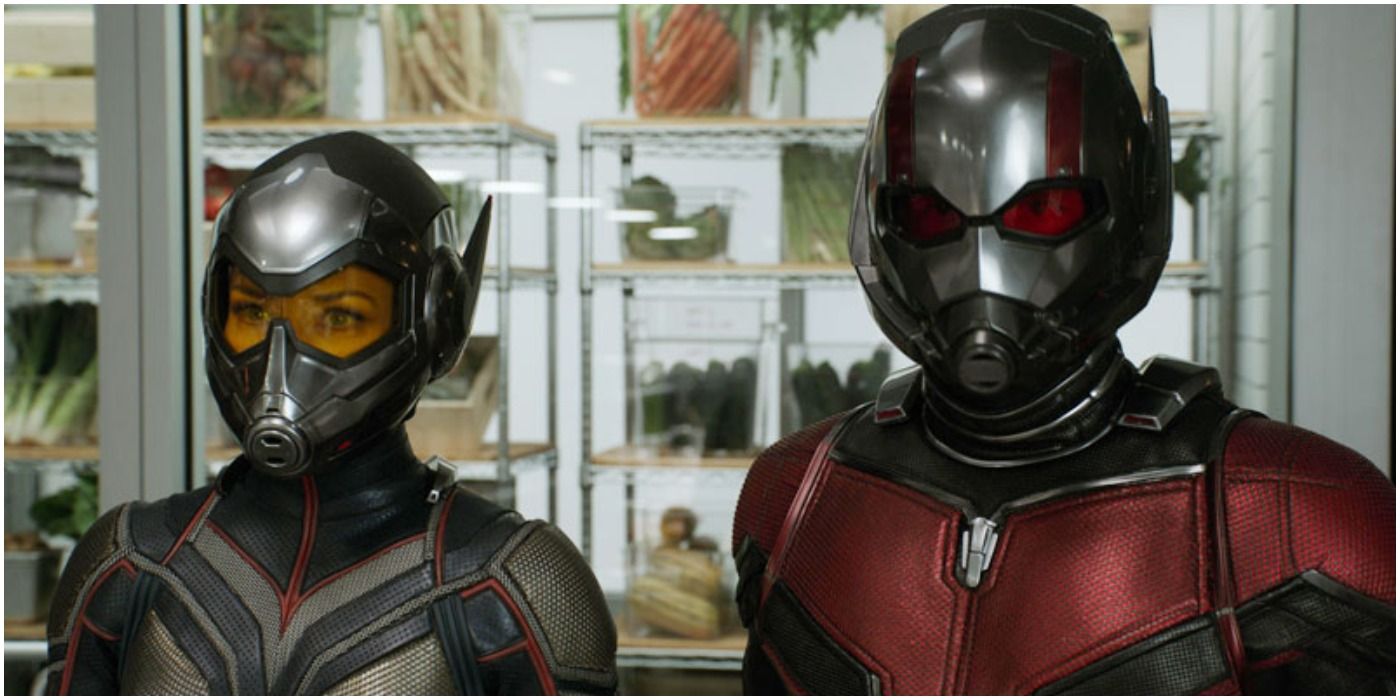 ant-man and wasp ready in their suits with helmets on