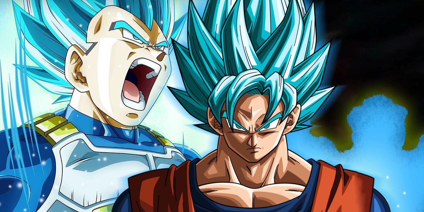 Dragon Ball Super Goku and Vegeta Super Sayajin blue