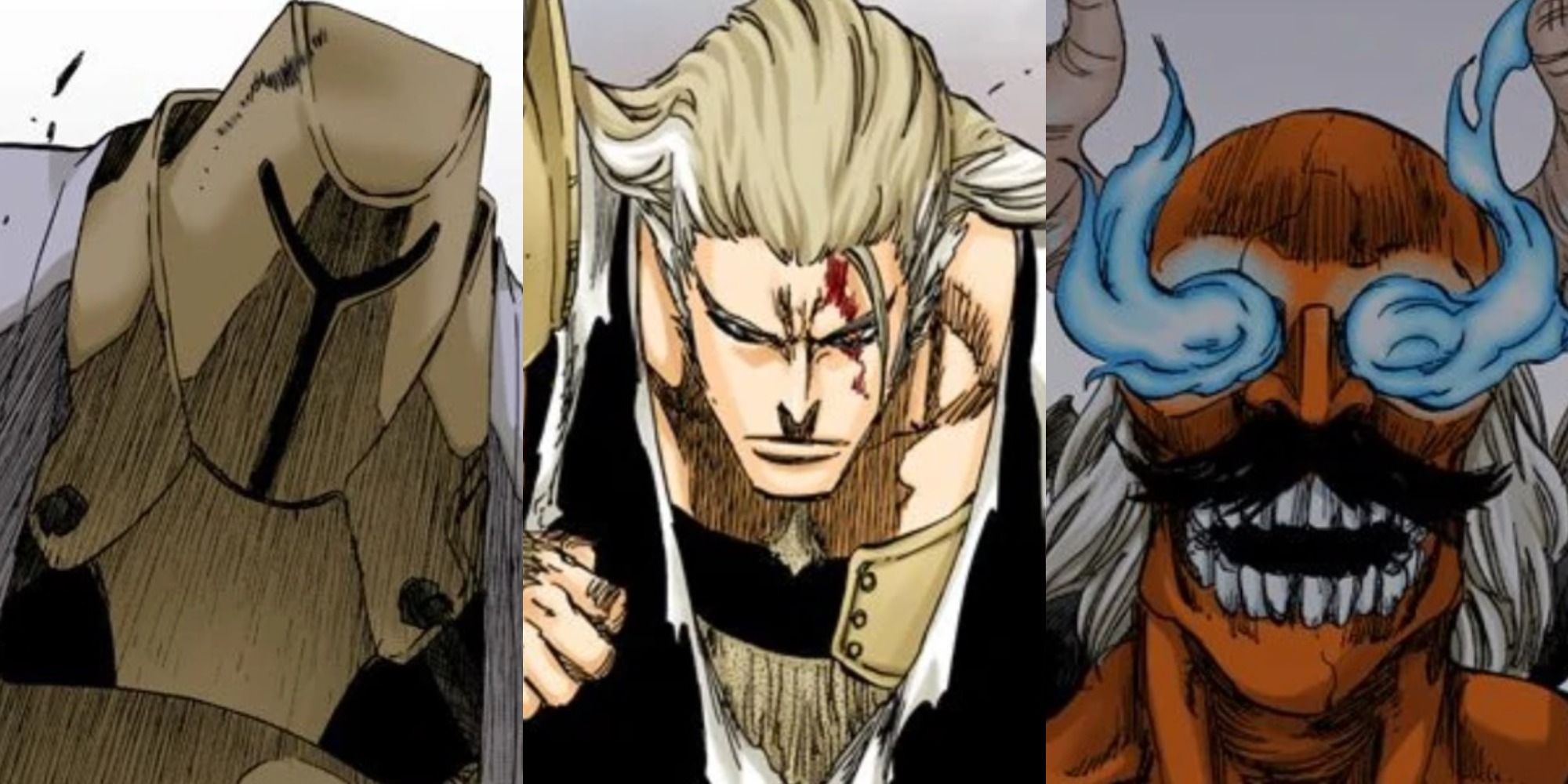 Bleach: 10 Things Anime-Only Fans Dont Know About Sajin Komamura