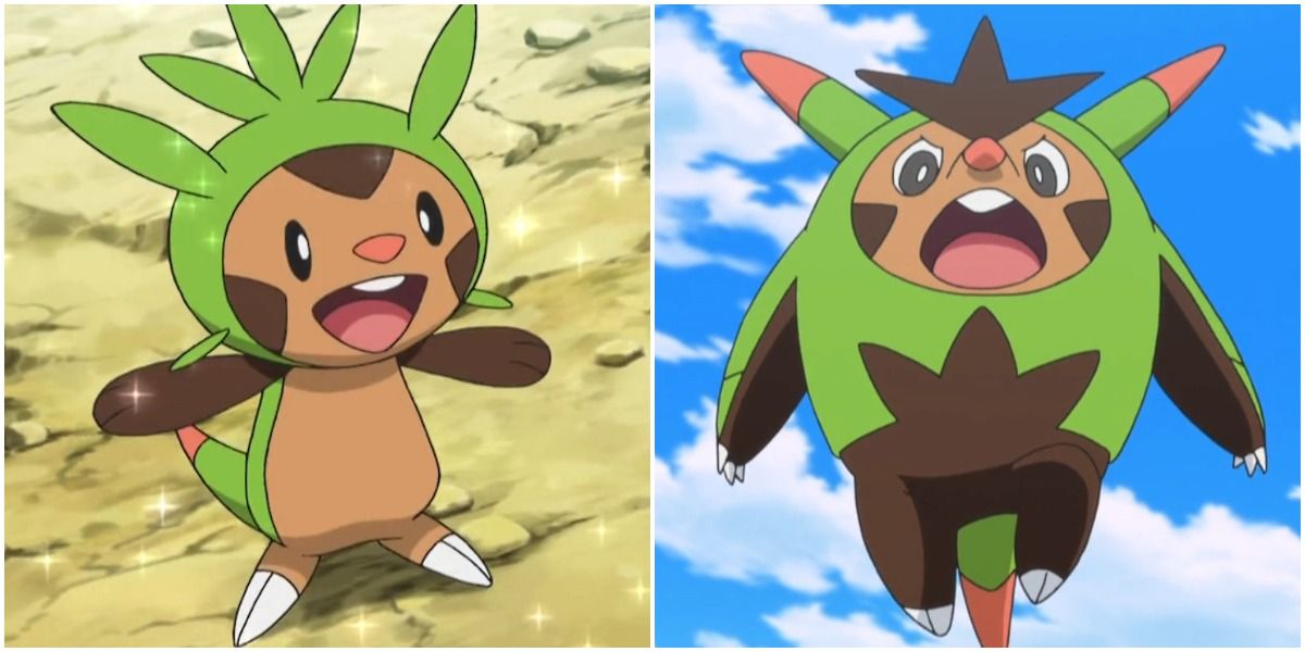 Chespin and Quilladin from Pokémon