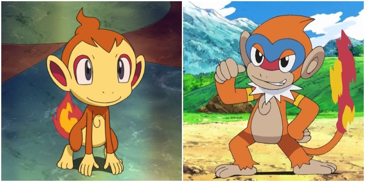 Chimchar and Monferno from Pokémon