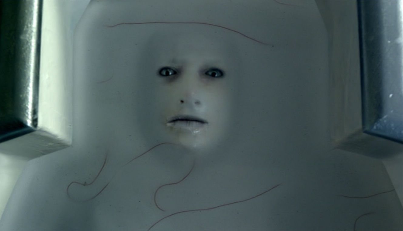 A ganger in Doctor Who episode &quot;The Rebel Flesh&quot;