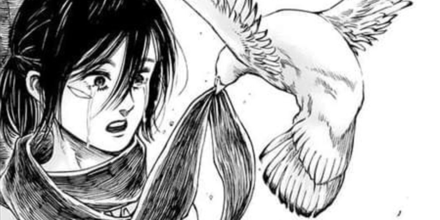 A Bird Wraps Mikasa