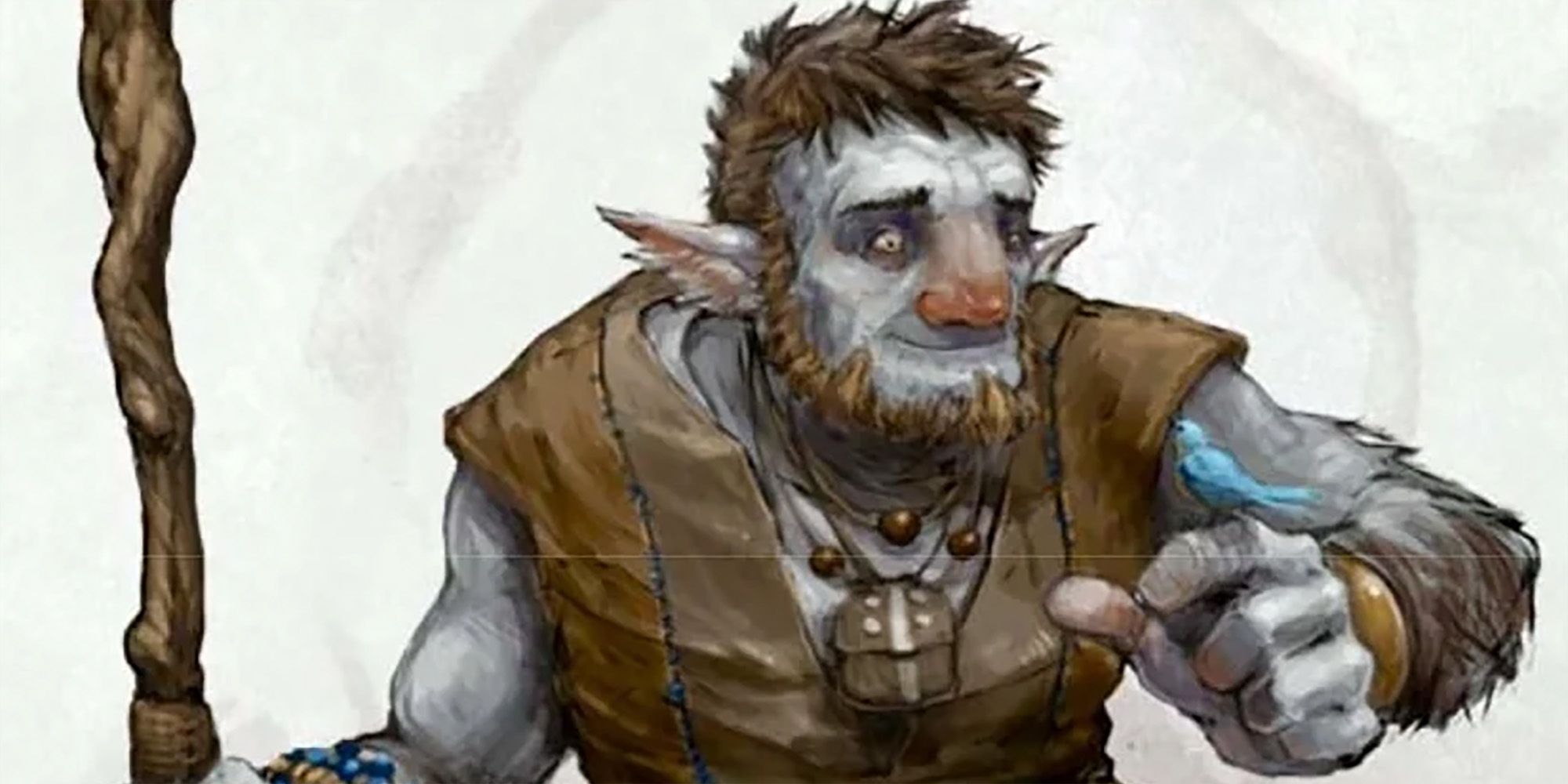 How To Build The Best Druid In DnD