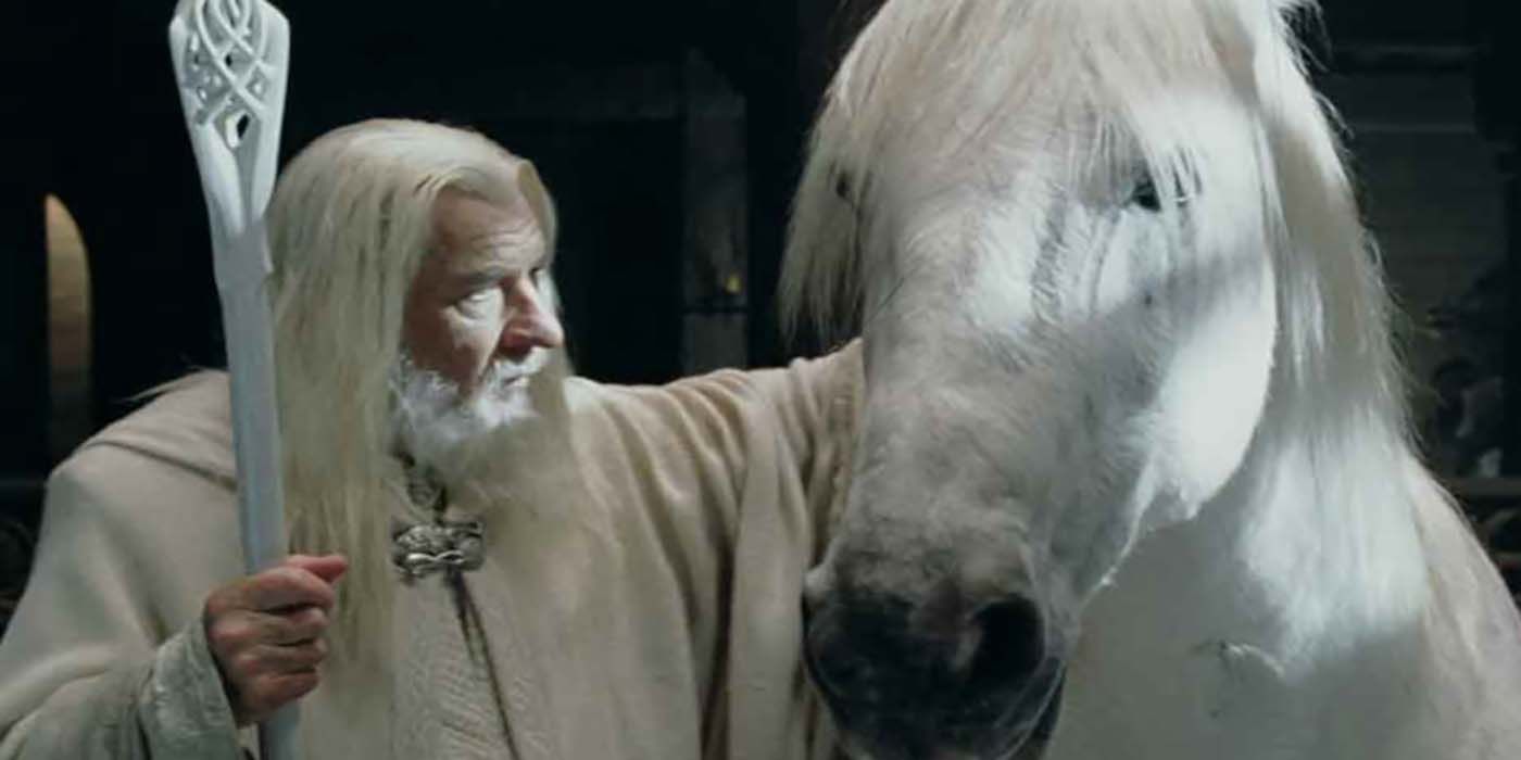 Gandalf and Shadowfax from The Lord of the Rings