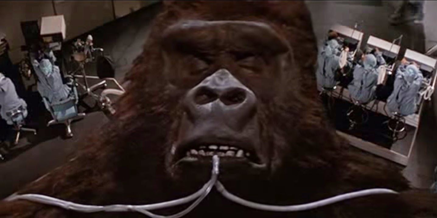 Movie King Kong Lives Comatose