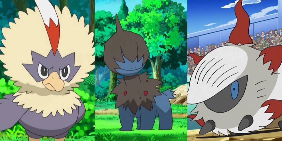 Pokemon Rufflet Evolution Shiny Rufflet Evolution