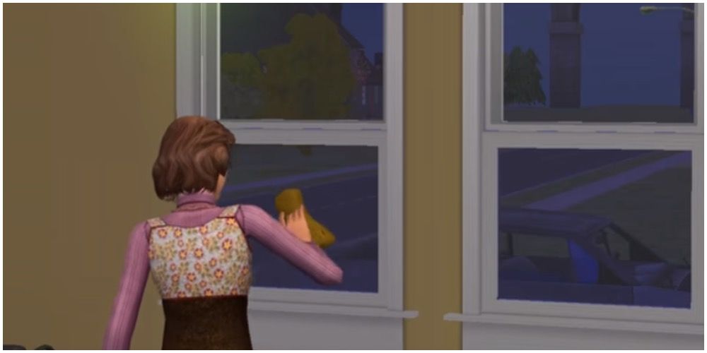 A Sim cleaning a window