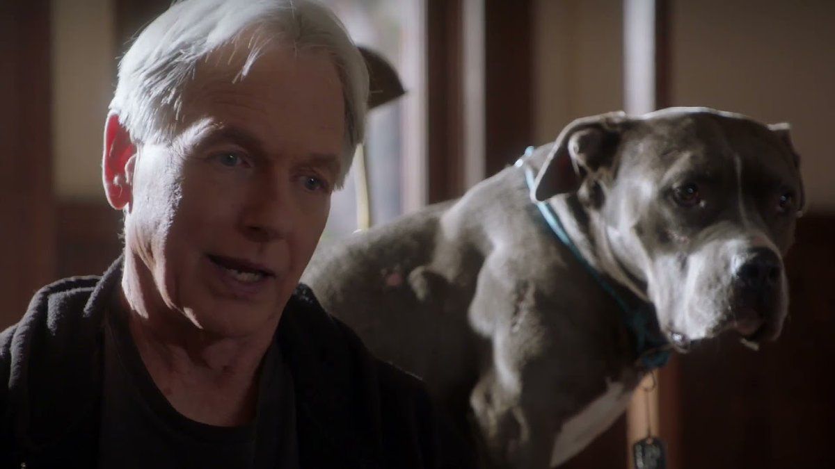 10 Things NCIS Fans Want to See in the New Prequel