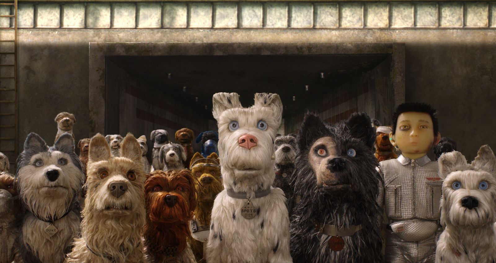 Wes Anderson Isle Of Dogs