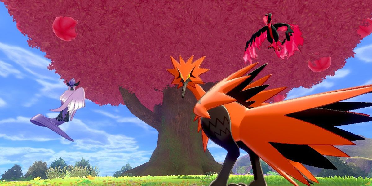 The Legendary birds look at the player in Sword & Shield