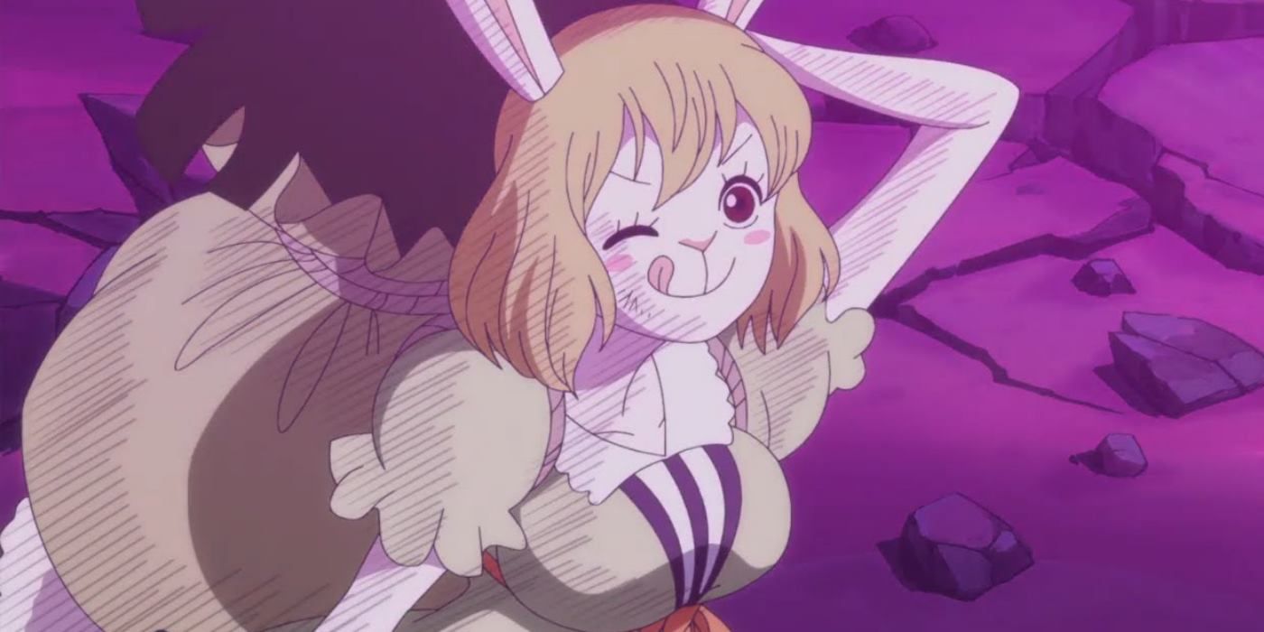 carrot winking one piece