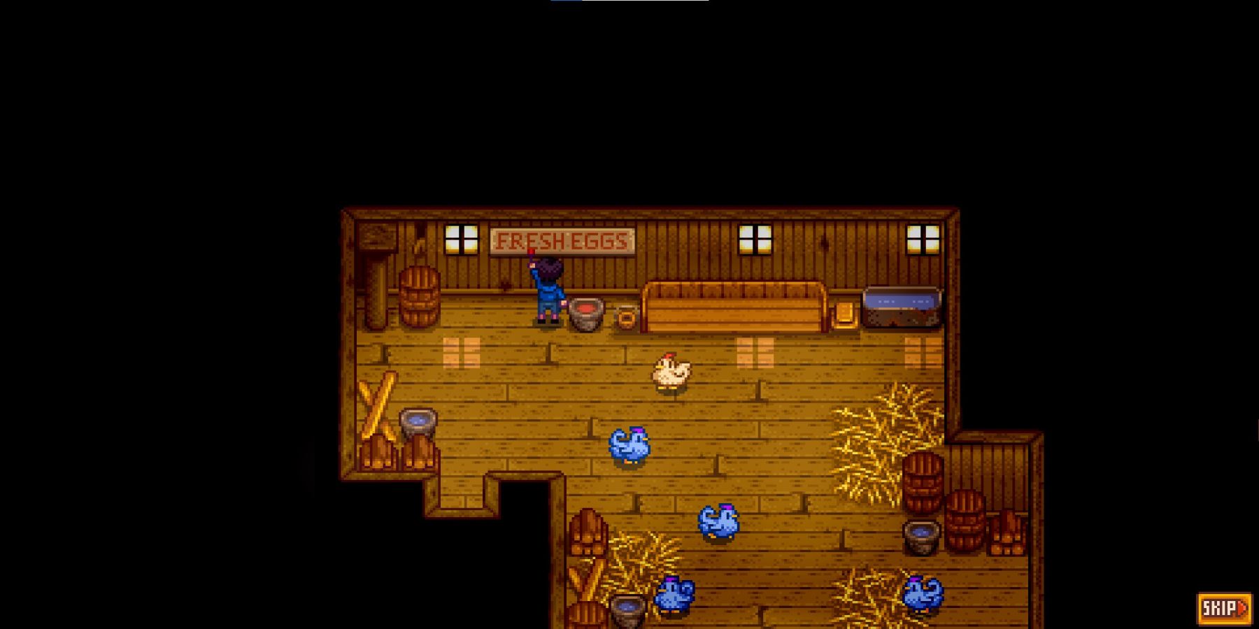 Shane's 8 Heart Event in the chicken coup with blue hens running around.