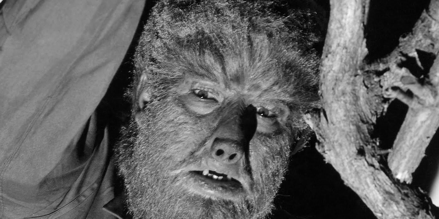 Universal Monsters' The Wolfman stares suspiciously from behind a treebranch