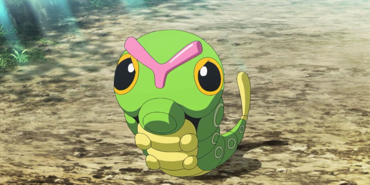 Caterpie looking angry in the Pokemon anime