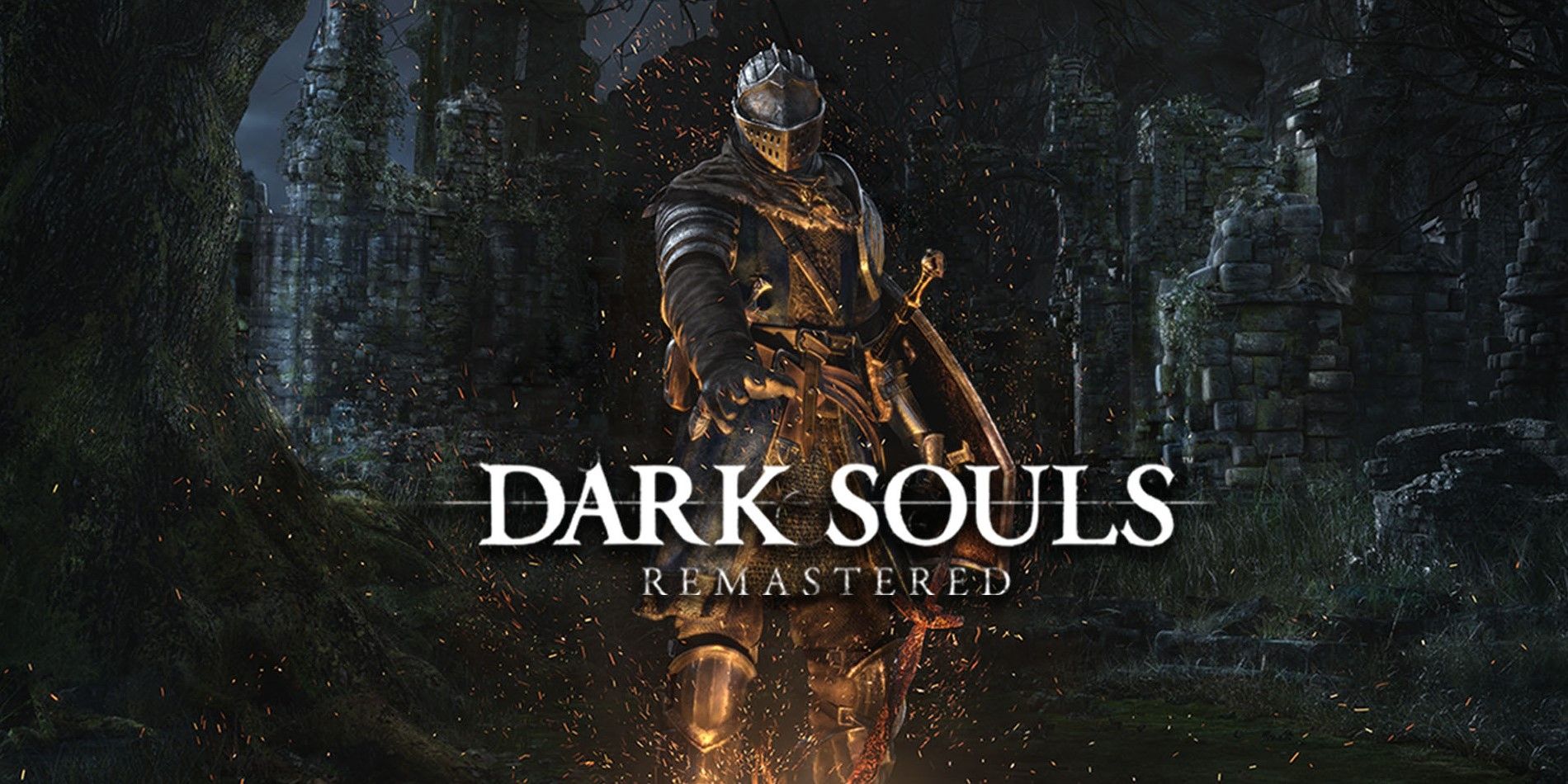 Dark Souls remastered knight lighting fire banner.