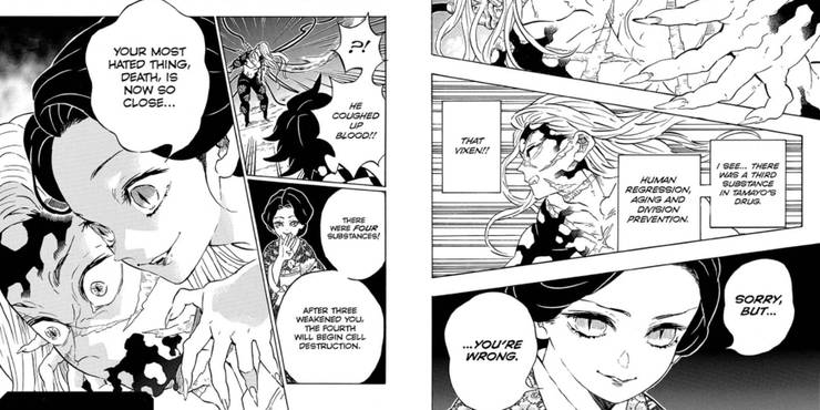 Demon Slayer Vol 22 Recap Spoilers Cbr Demon Slayer Vol 22 Recap Spoilers Cbr