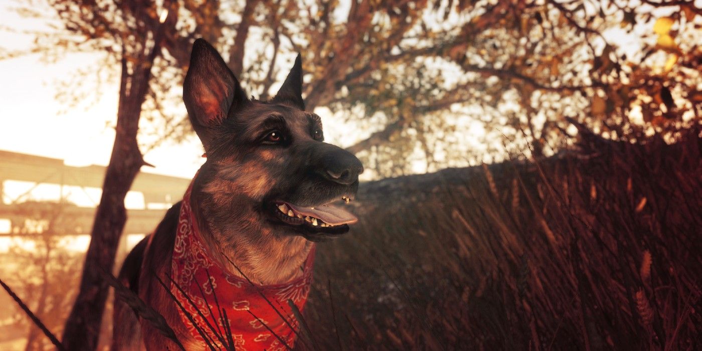 Dogmeat Fallout 4 River Header