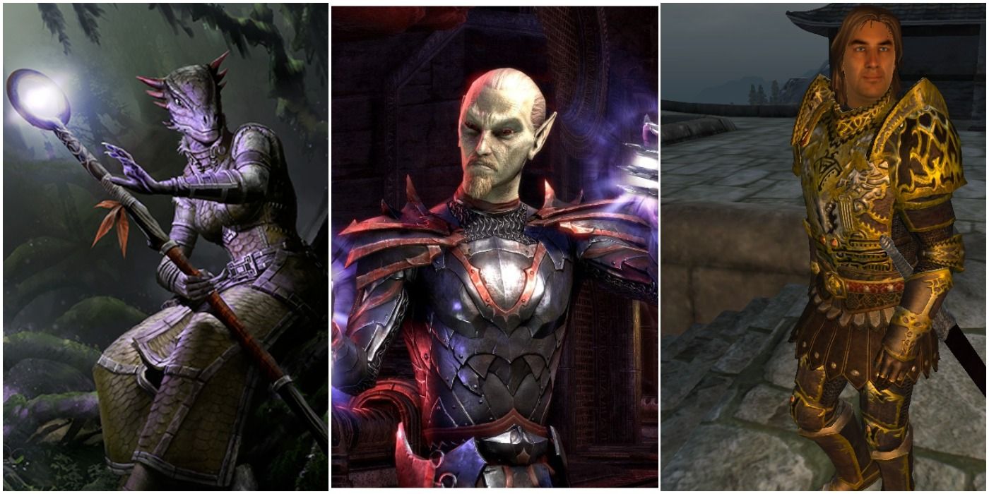 Elder Scrolls: 10 Surprising Things Hidden In Canon Lore