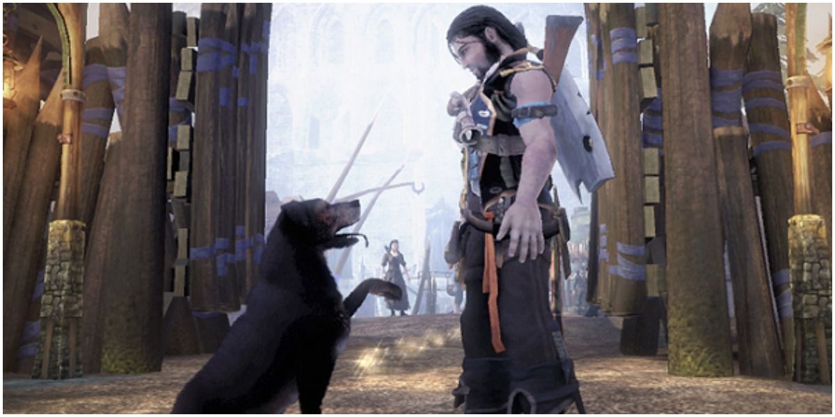 The hero with Dog in Fable II game