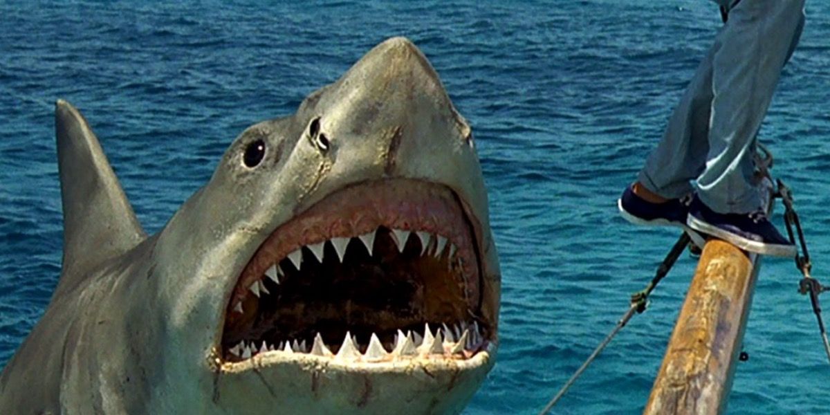 Movies Jaws: The Revenge