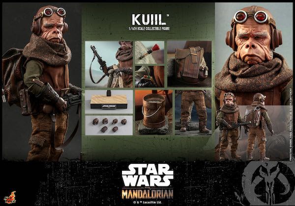 The Mandalorian: Hot Toys Unveils Kuiil and Blurrg Collectibles