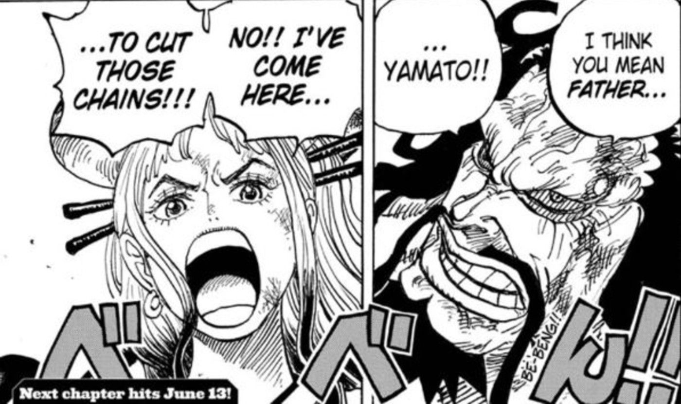 One Piece: 10 Ways Yamato Is like Kaido