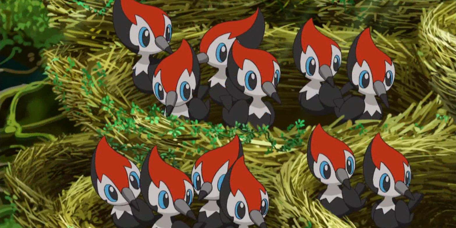 Anime Pokemon Pikipek Nest