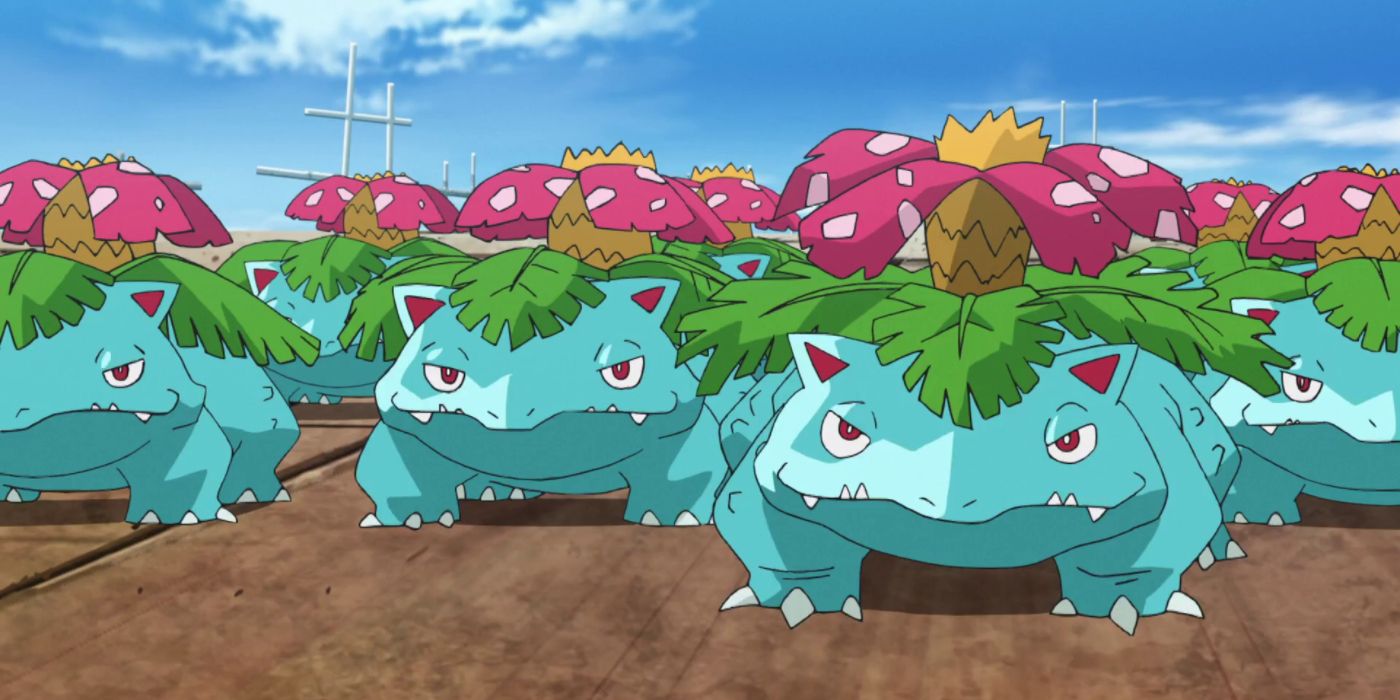 A group of Venusaur in the Pokémon anime.
