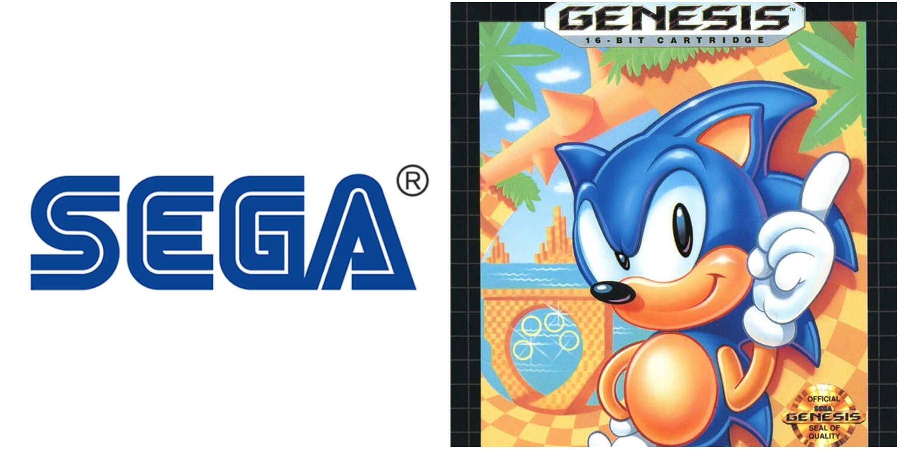 Sonic The Hedgehog SEGA Genesis