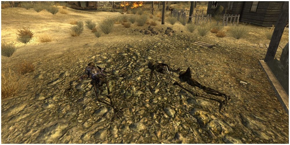 The burned bodies of Owen and Beru in Nipton in Fallout New Vegas