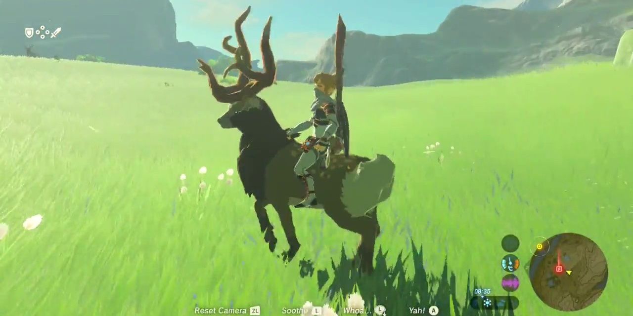 The Legend Of Zelda Breath Of The Wild Link Buck