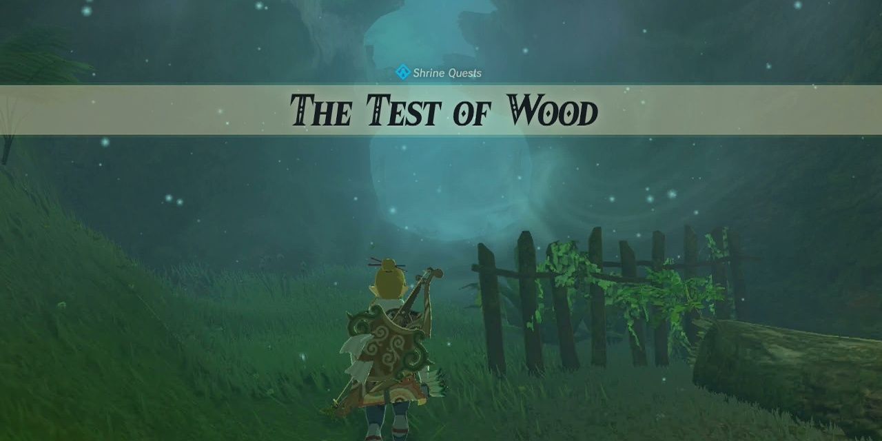 The Legend Of Zelda Breath Of The Wild Test Of Wood