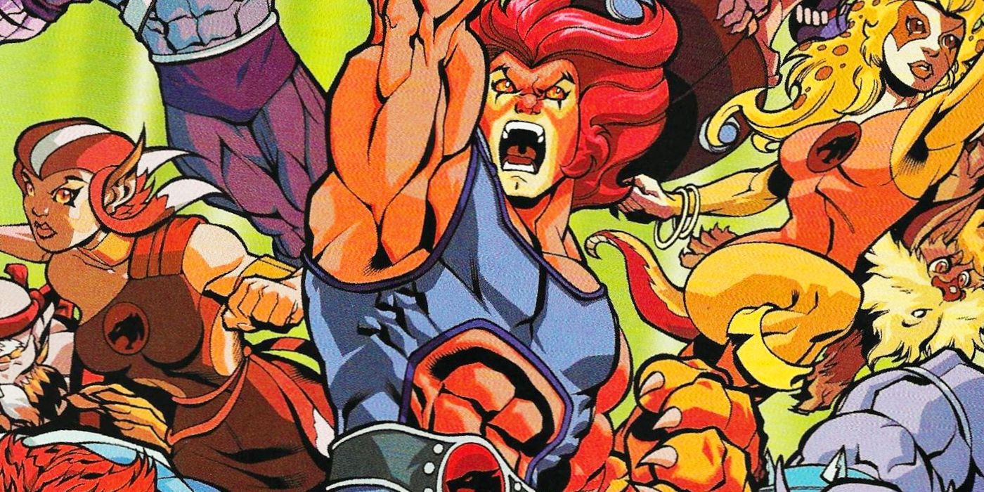 The Ed McGuiness drawn ThunderCats rocked Wildstorm in the '00s.