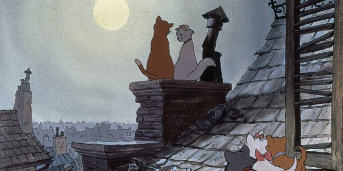 Aristocats on the rooftop 