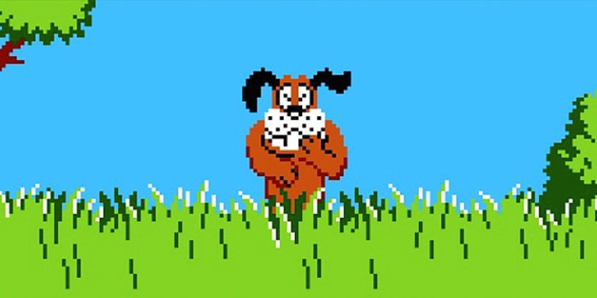 hunting dog laughing in duck hunt
