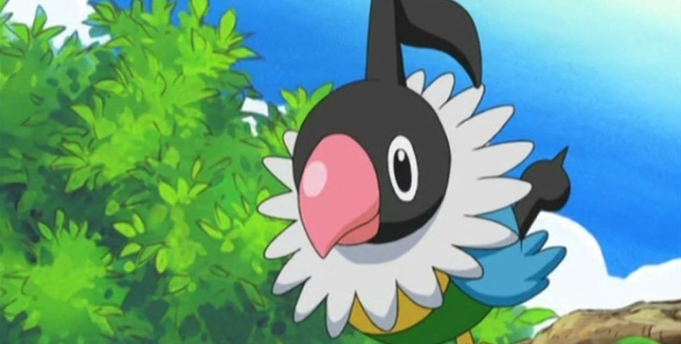 Ada's Chatot from the Pokemon anime