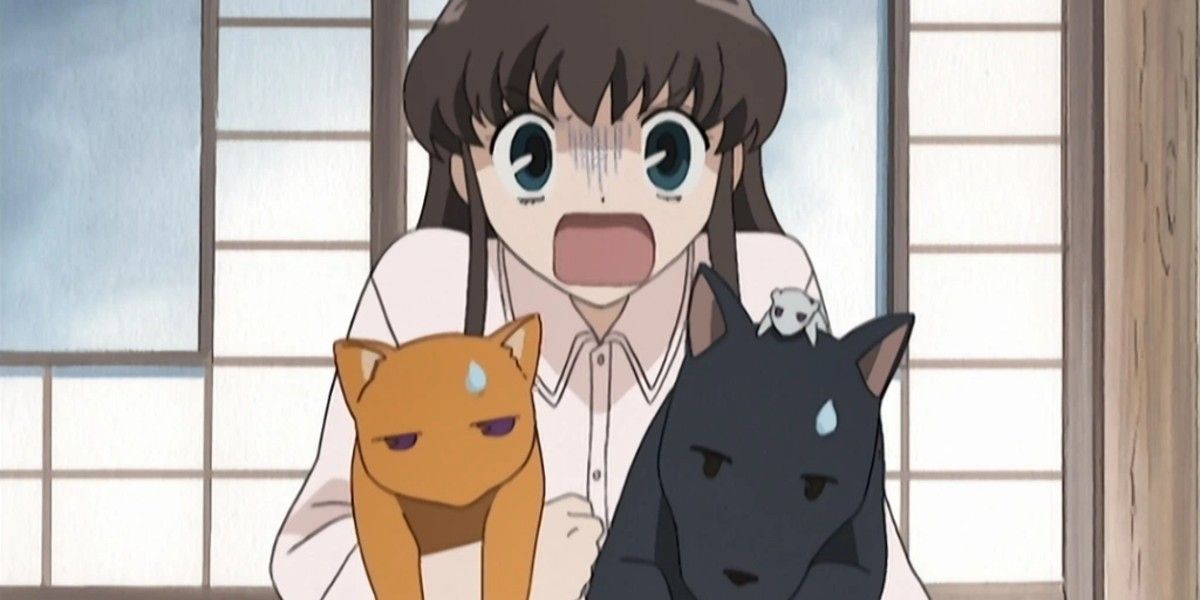 Anime Fruits Basket 2001 Tohru holding Kyo, Yuki, and Shigure as animals