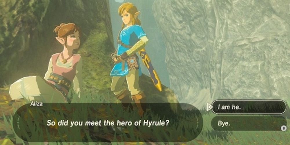 Video Games Legend Of Zelda Breath Of The Wild Mute Link