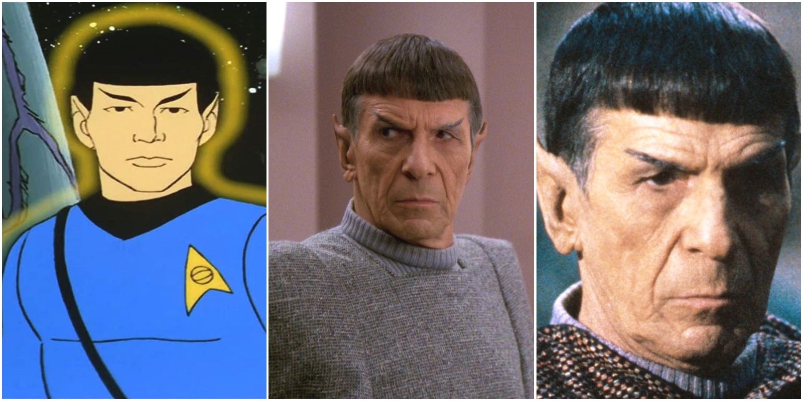 Spock as a science officer and then as an ambassador