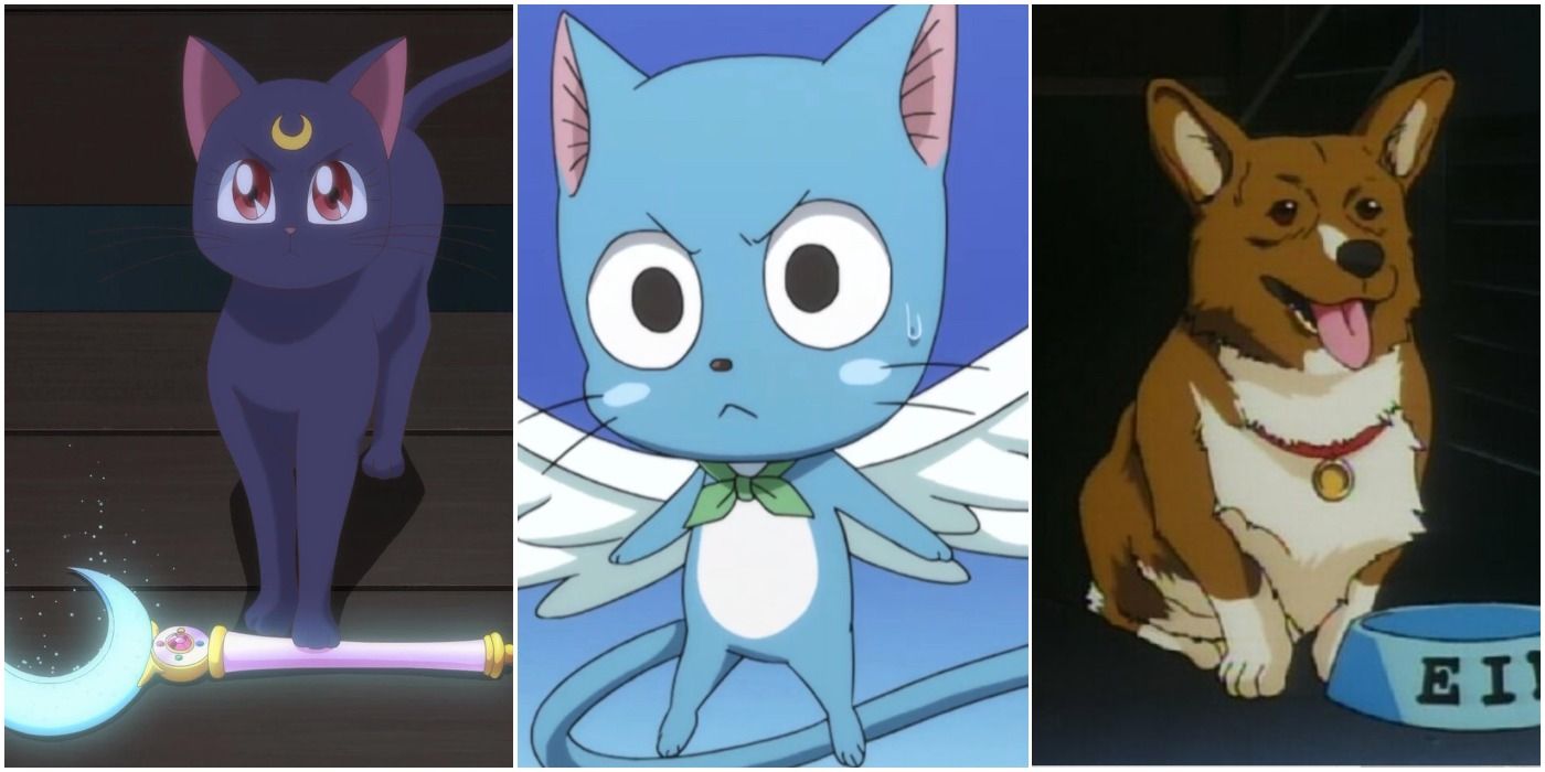 Adorable Anime And Manga About Pets-demhanvico.com.vn