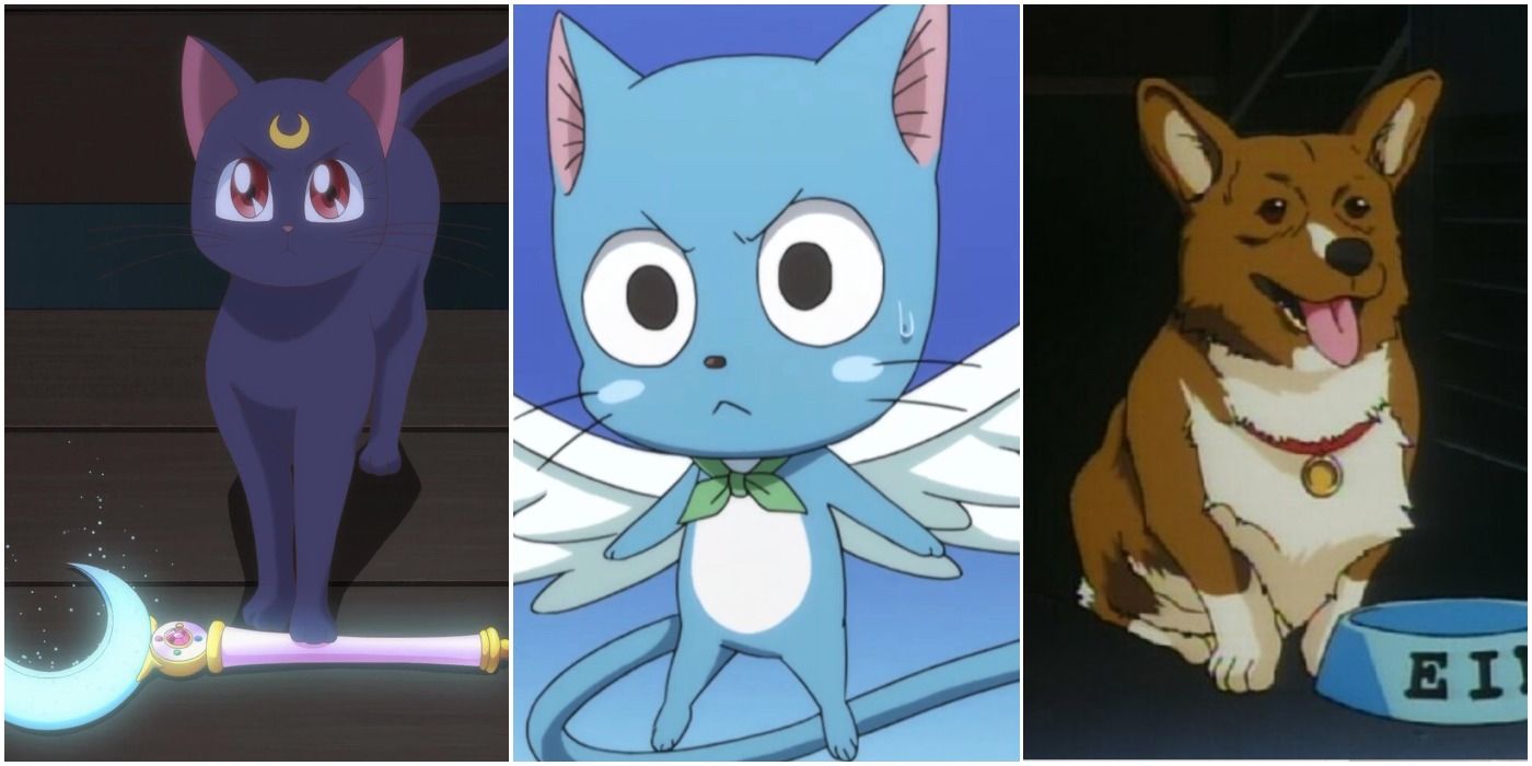 10 Adorable Animal Sidekicks In Anime That Always Get The Job Done