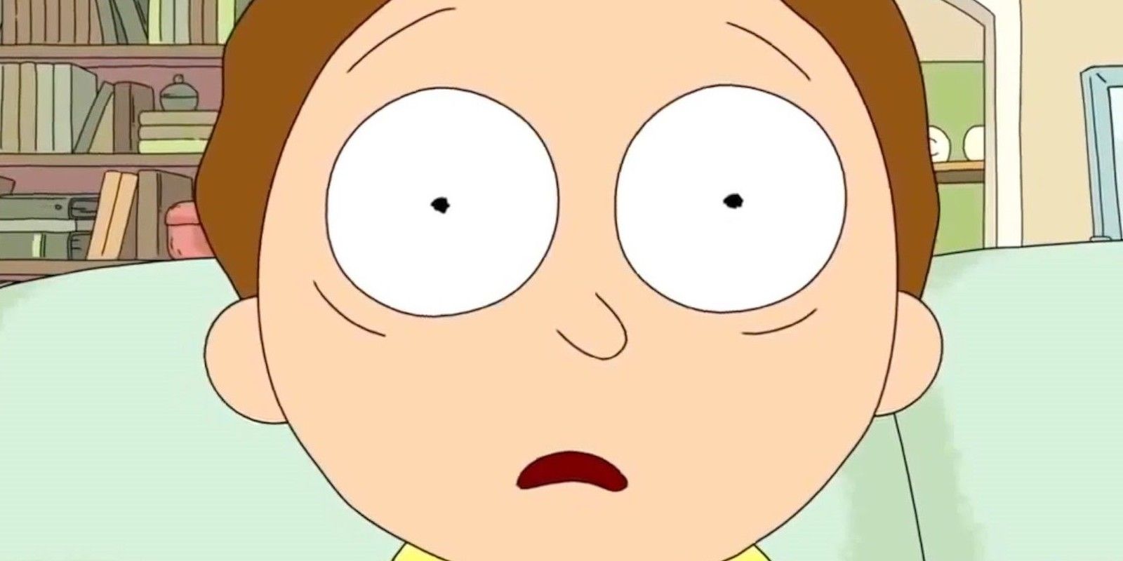Morty-in-Rick-and-Morty