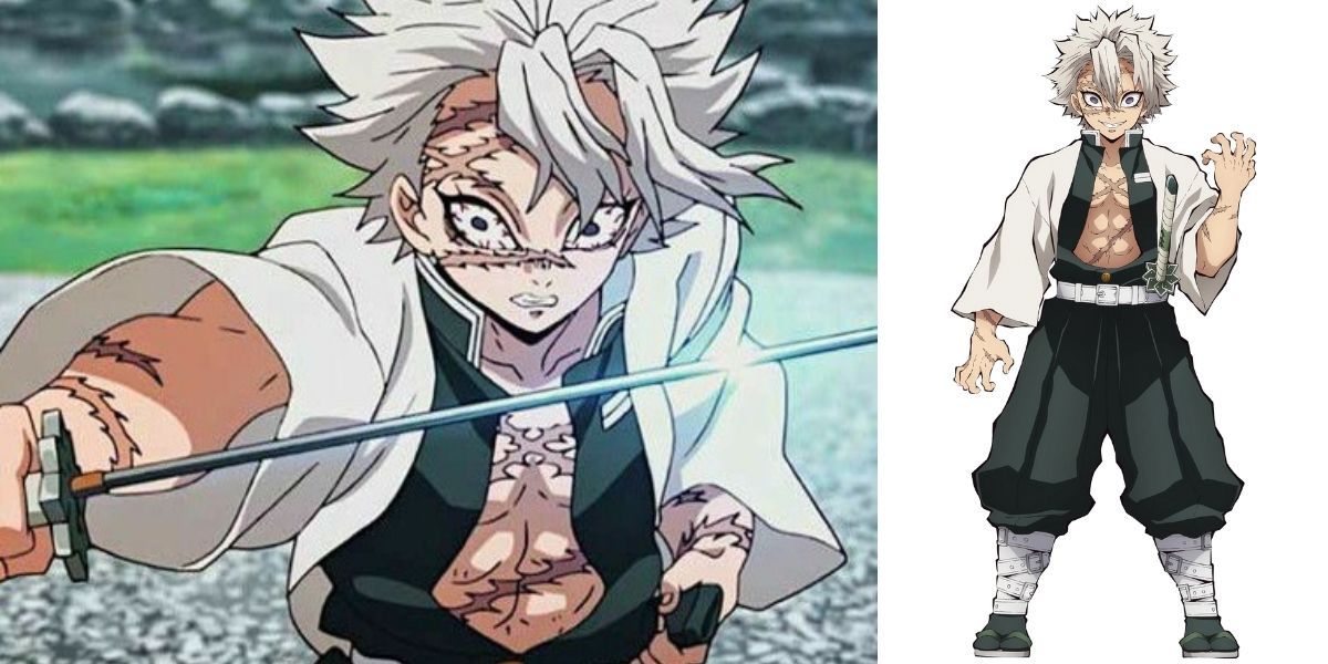 Demon Slayer: The Hashira, Ranked By Style