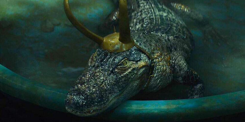 Alligator Loki in his tub