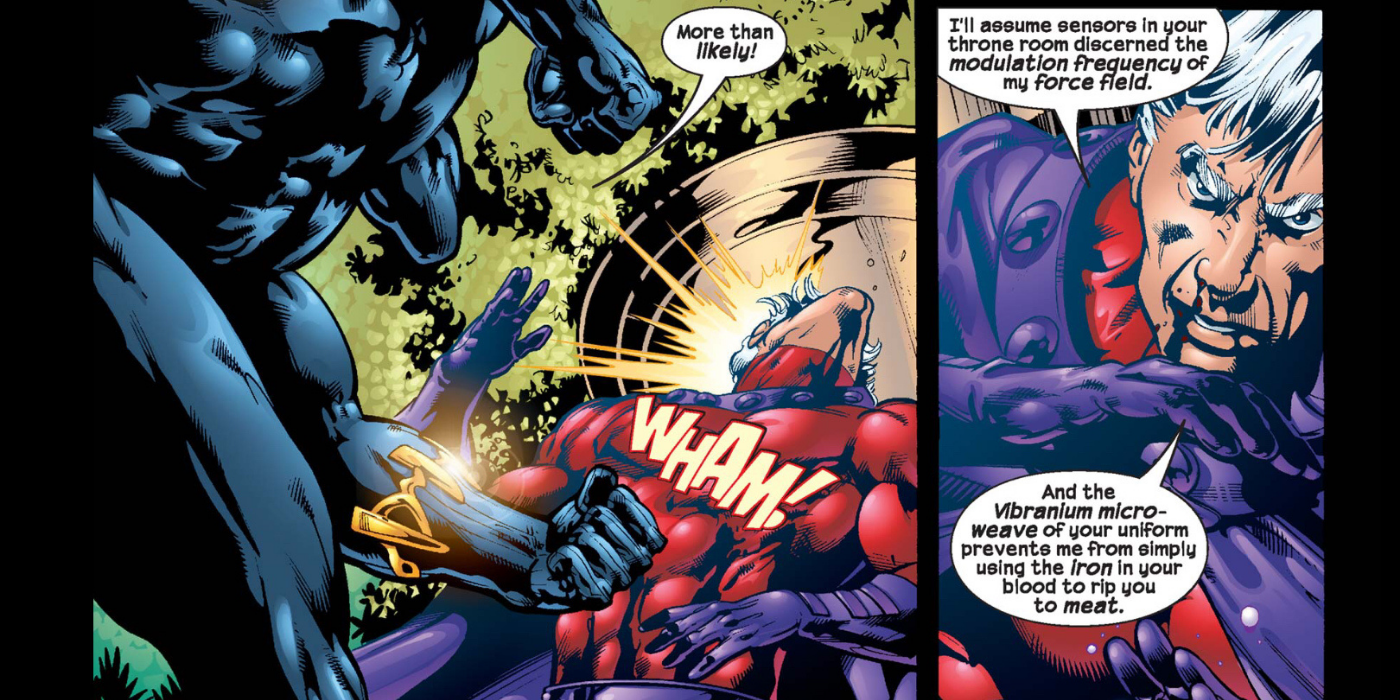 Magneto vs. Black Panther